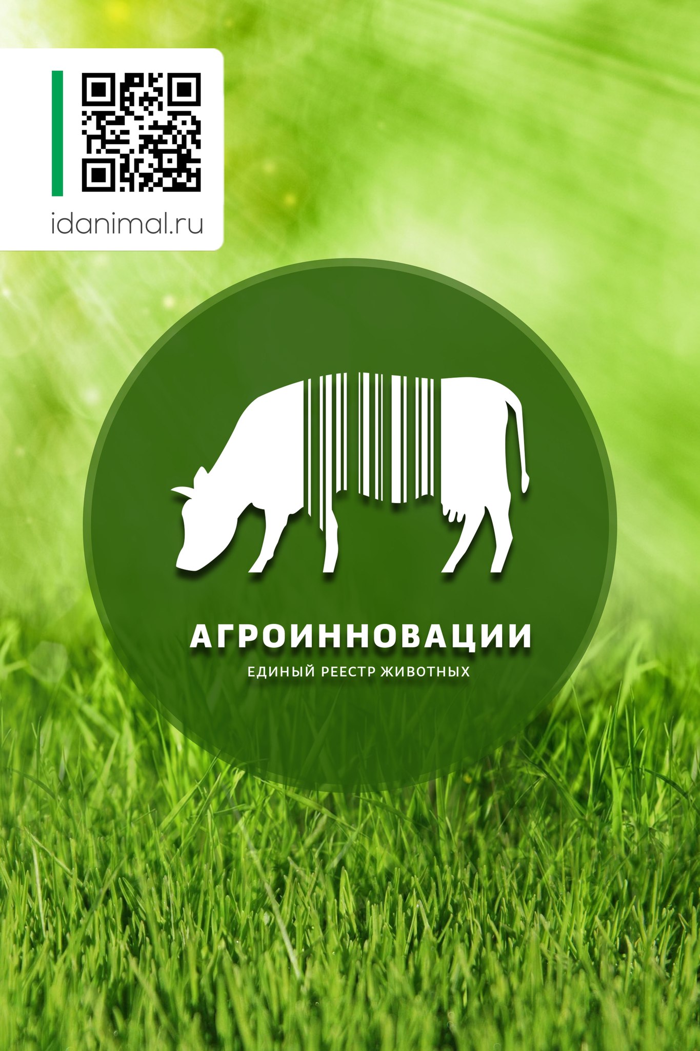 Коровы нового поколения: инновационные решения от проекта "Электронное стадо"